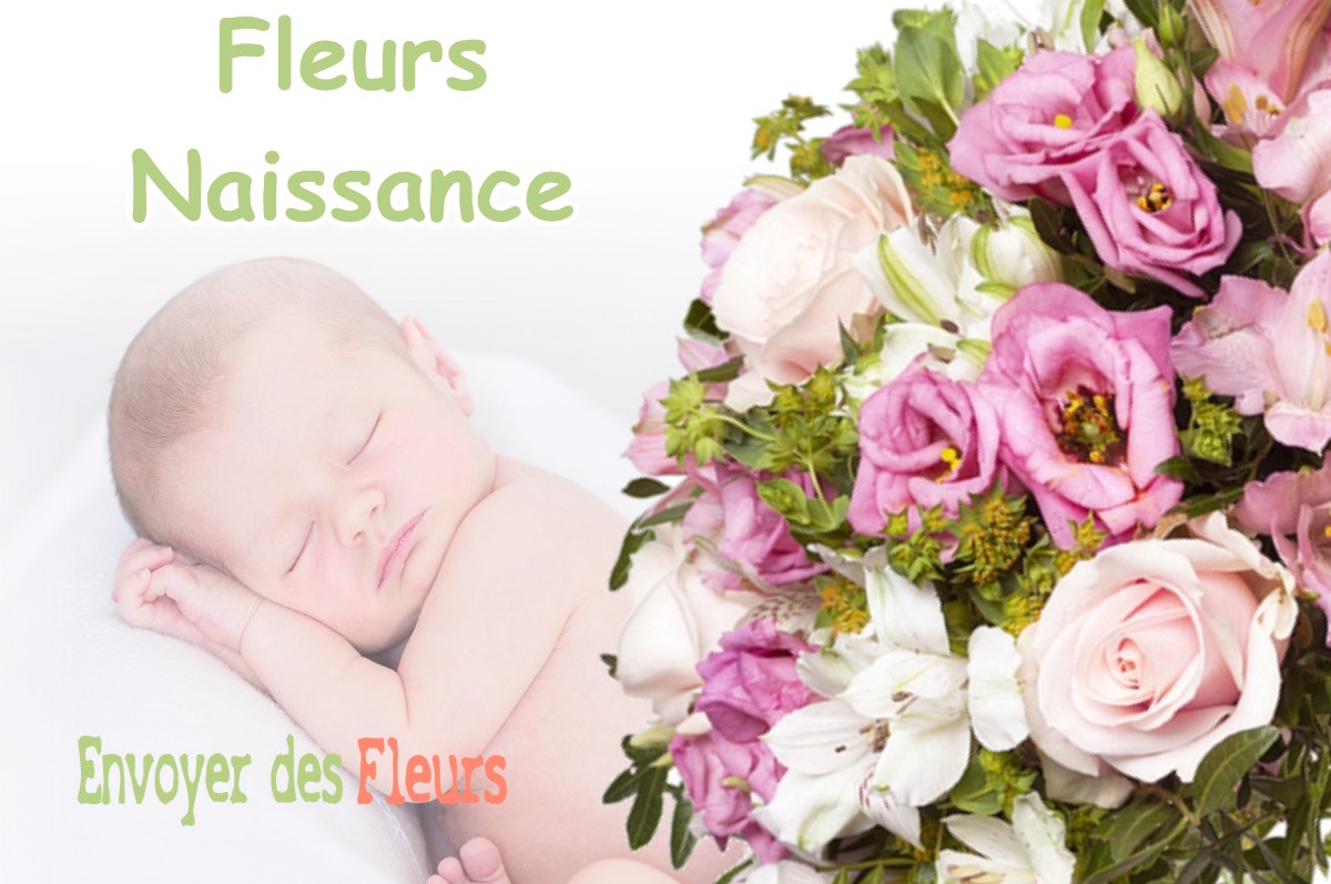 lIVRAISON FLEURS NAISSANCE à AVIGNON-LES-SAINT-CLAUDE